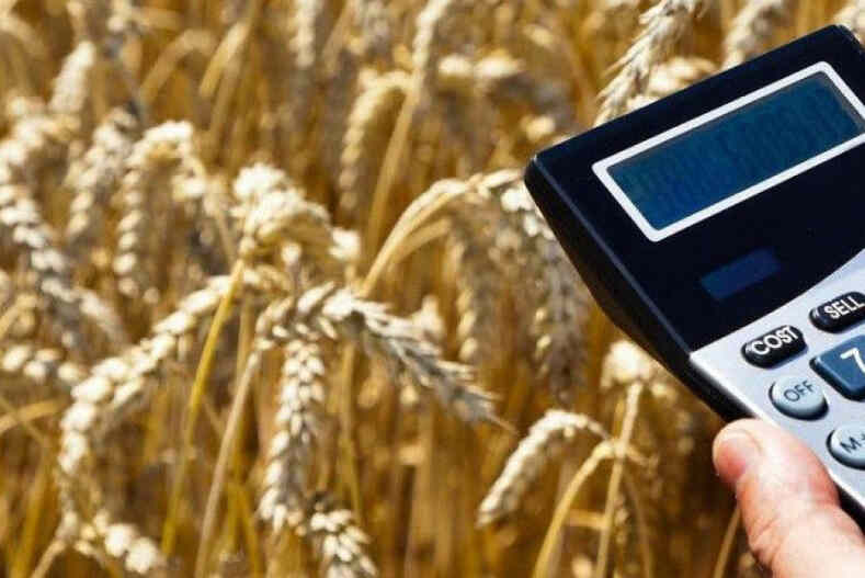 Белстат о производстве сельхозпродукции в 2024 г.